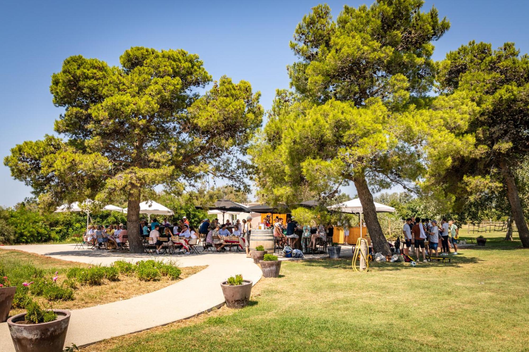 Lou Mas Dou Juge Hotel Saintes-Maries-de-la-Mer Kültér fotó